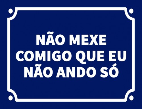 Placa Decorativa Não mexe comigo eu que não ando só