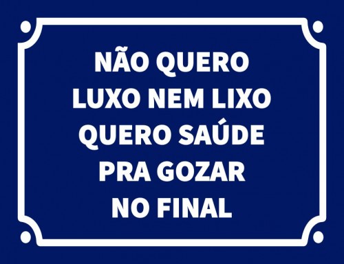 Placa Decorativa Não quero luxo nem lixo quero saúde pra gozar no final
