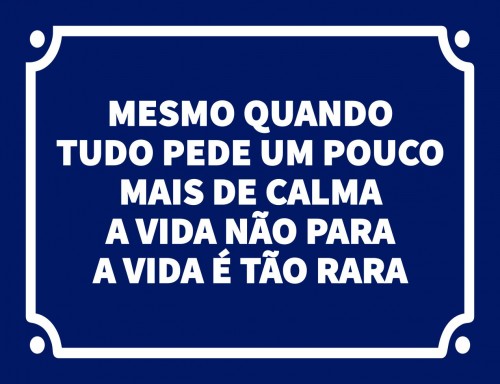 Placa Decorativa Mesmo quando tudo pede um pouco mais de calma a vida não para a vida é tão rara
